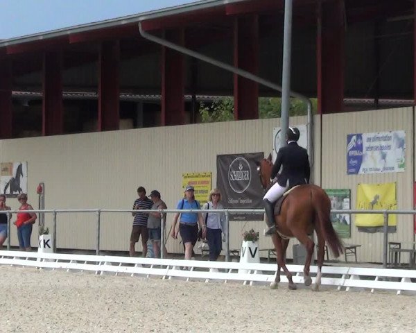 Reitturnier Dompierre 2023