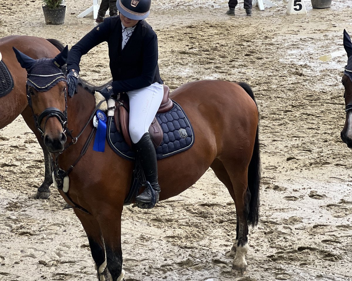 jumper Steendieks Captain Future (German Riding Pony, 2010, from FS Chambertin)