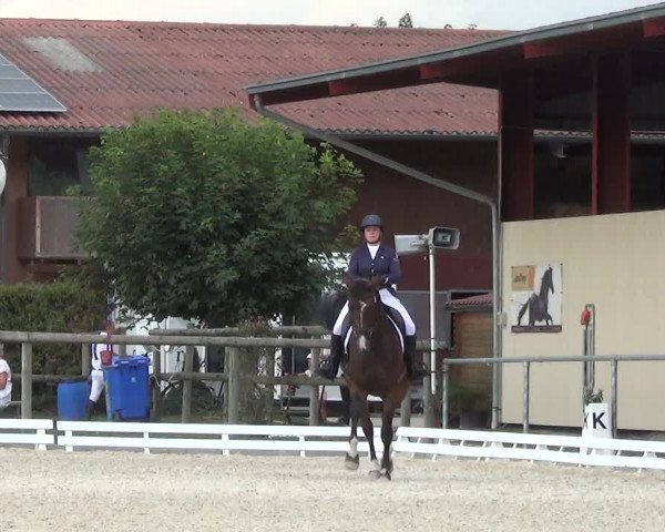 Reitturnier Dompierre 2023