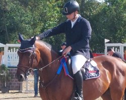 jumper Odigo van het Kapelhof (Belgian Warmblood, 2014, from Darco)