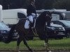 dressage horse Lieber Schatz R (Westphalian, 2019, from Libertad FRH)