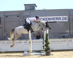 jumper Joan LB (Oldenburg show jumper, 2018, from Untouchable)