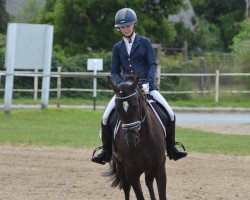 dressage horse Honeymoon's Beauty (German Riding Pony, 2018, from Honeymoon Star)