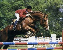 Deckhengst Perle de Plantro (Selle Français, 1981, von Starter)