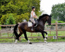 dressage horse Que Bellisima (Hanoverian, 2016, from Quaterhall)