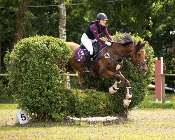 Gesa—Marie Rosemann