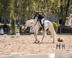 dressage horse Flying-Flower (Zweibrücken, 2005, from For Feeling)