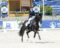 dressage horse For Gold OLD (Oldenburger, 2014, from Franziskus FRH)