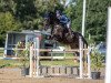 jumper S- Cada (Oldenburg show jumper, 2016, from Stakkato Gold)