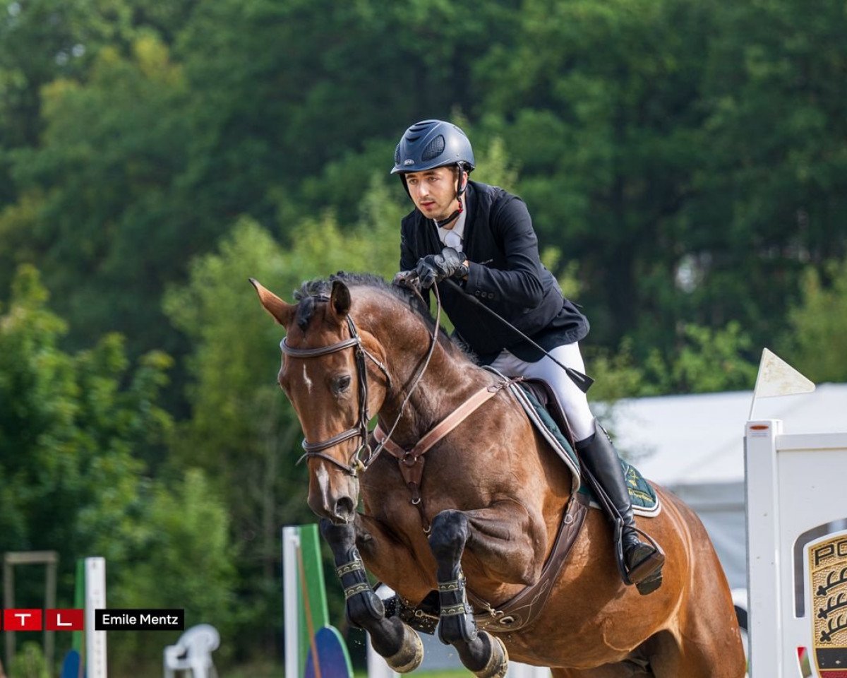 broodmare Shandra 19 (Hanoverian, 2012, from Stolzenberg)