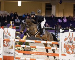 jumper Heert (KWPN (Royal Dutch Sporthorse), 2012, from Gaillard de La Pomme)