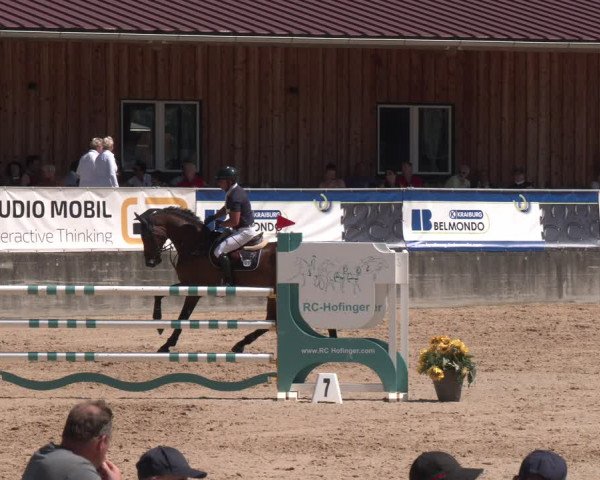 Reitturnier Ranshofen - Braunau am Inn 2023