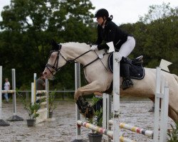 dressage horse Clara A (German Riding Pony, 2010, from Classic Dancer II)