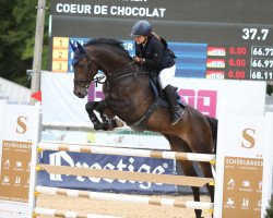 jumper Coeur de Chocolat (Bavarian, 2010, from Camparino)