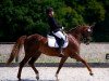 dressage horse Sunshine CS (Belgian Warmblood, 2018, from Henkie)