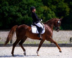 dressage horse Sunshine CS (Belgian Warmblood, 2018, from Henkie)