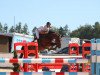 jumper Qiandra van de Windheuvel (Belgian Warmblood, 2016, from Farfelu de Muze)