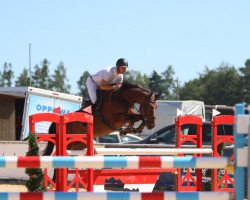 jumper Qiandra van de Windheuvel (Belgian Warmblood, 2016, from Farfelu de Muze)