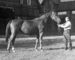 broodmare Desinfektion (Hanoverian, 1934, from Denksport)