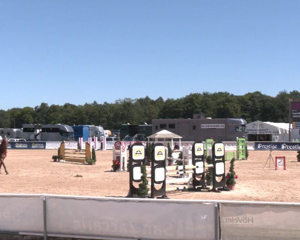 Reitturnier Ranshofen - Braunau am Inn 2023