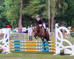 jumper Rigojano (German Riding Pony, 2017, from Rapolino)