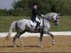 dressage horse Courmayeur 2 (Trakehner, 2000, from Heartbreaker)