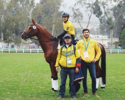 dressage horse Espartaco (unknown, 2001)