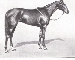 broodmare Kandy xx (Thoroughbred, 1929, from Alcantara xx)