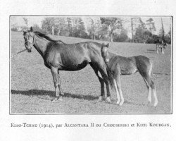 broodmare Kiao Tchau xx (Thoroughbred, 1914, from Chouberski xx)