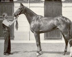 broodmare Kizil Kourgan xx (Thoroughbred, 1899, from Omnium II xx)