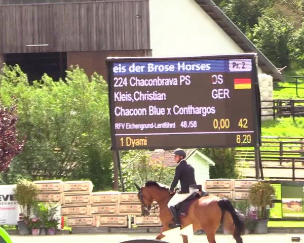 Reitturnier Schnarup-Thumby 2023