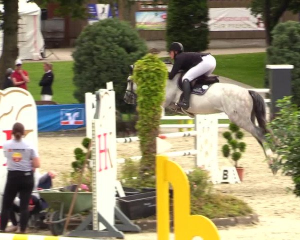 Reitturnier Schnarup-Thumby 2023
