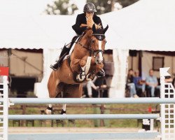 jumper Joyride RVL (KWPN (Royal Dutch Sporthorse), 2014, from Balou du Rouet)