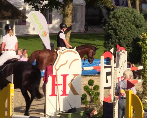 Reitturnier Schnarup-Thumby 2023