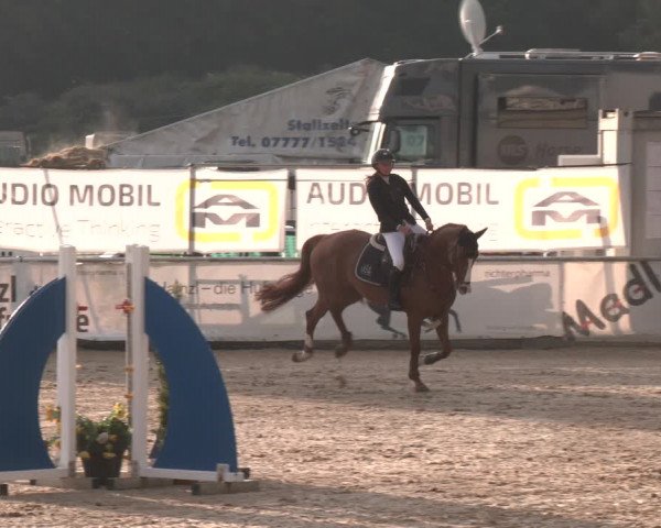 Reitturnier Ranshofen - Braunau am Inn 2023