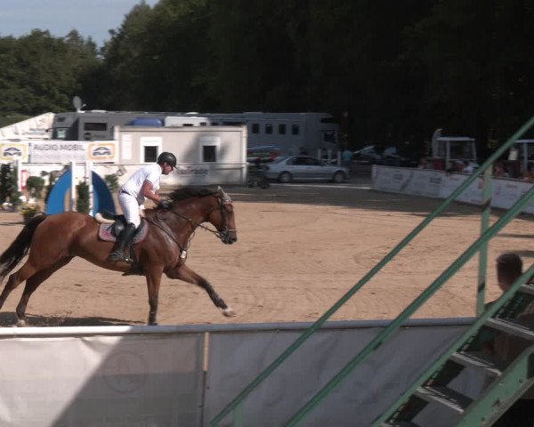 Reitturnier Ranshofen - Braunau am Inn 2023