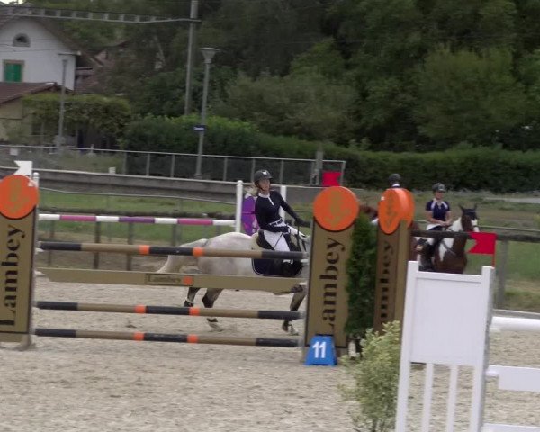Reitturnier Dompierre 2023