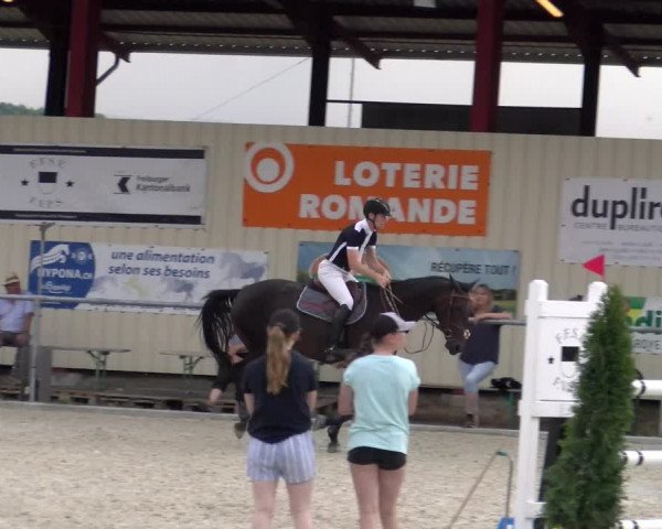 Reitturnier Dompierre 2023