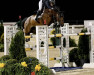 jumper Isabella van de Zuuthoeve (Belgium Sporthorse, 2014, from Thunder van de Zuuthoeve)