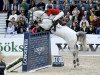 jumper Hadja van Orshof (Belgian Warmblood, 2007, from Cabrio van de Heffinck)