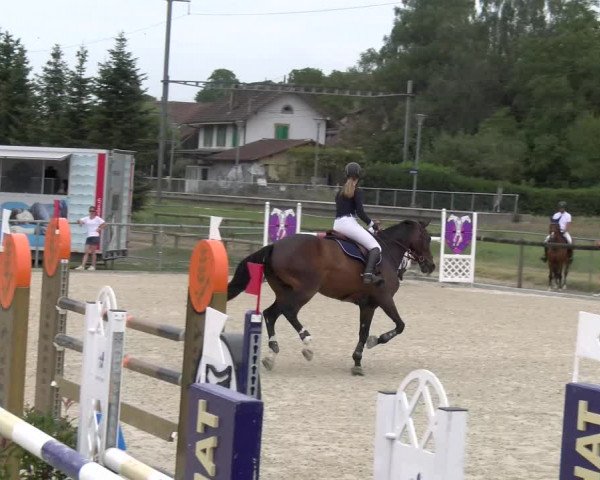 Reitturnier Dompierre 2023