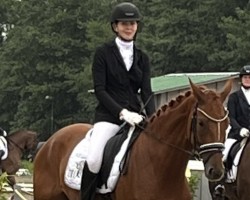 dressage horse Feine Fjella (Oldenburger, 2019, from Blue Hors Zackerey)