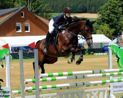 jumper Carlo 452 (Oldenburg show jumper, 2009, from Carlucci 13)