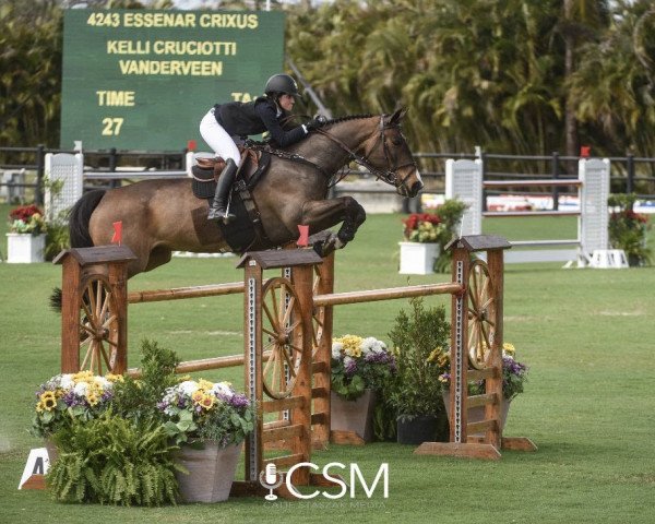 jumper Essenar Crixus (Irish Sport Horse, 2010, from Luidam)