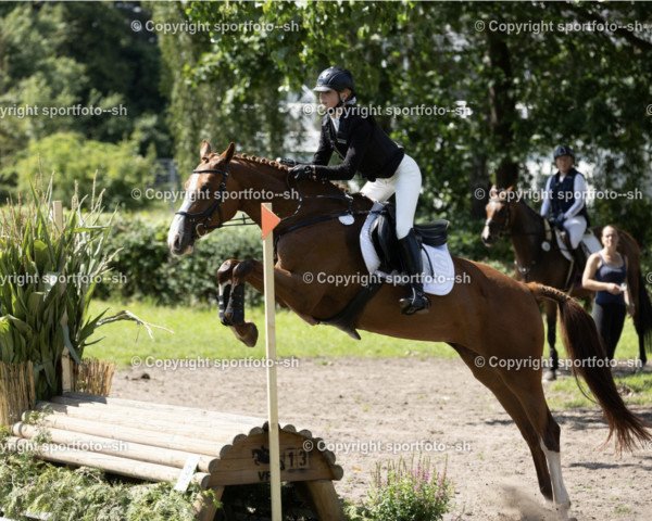 broodmare Cananga (German Sport Horse, 2017, from Casalljano)