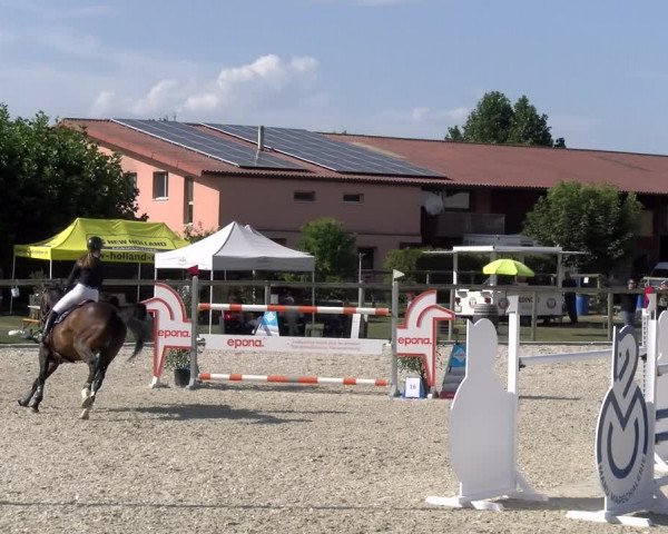 Reitturnier Dompierre 2023