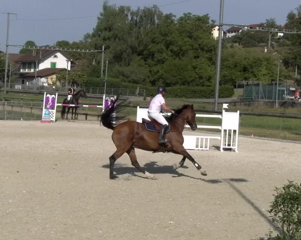 Reitturnier Dompierre 2023