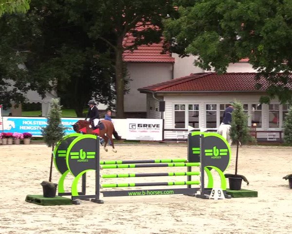 Reitturnier Schnarup-Thumby 2023