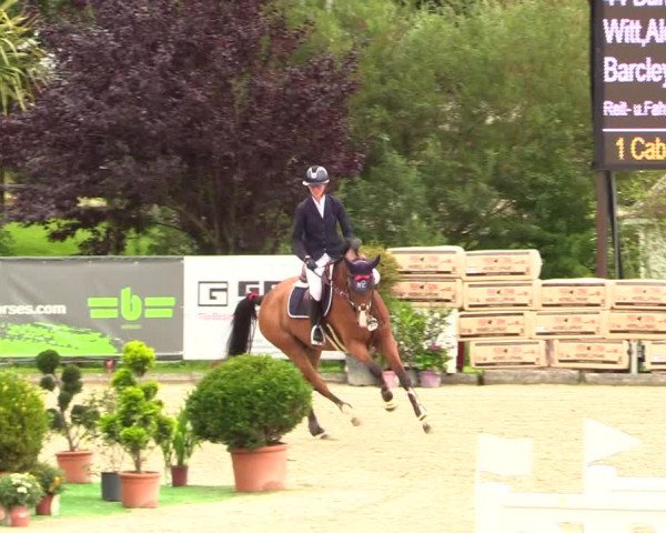 Reitturnier Schnarup-Thumby 2023