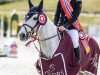 jumper Panfu van de Bisschop (Belgian Riding Pony, 2011, from Dexter Leam Pondi)